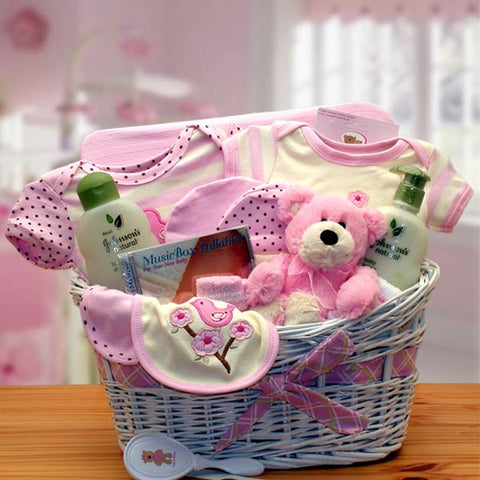 Deluxe Organic New Baby Gift Basket