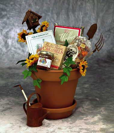 Sunflowers For You (Med)
